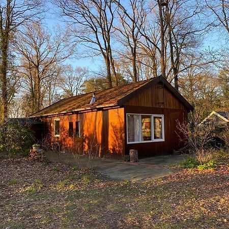 Basic Natuurhuisje Ommen/Beerze Vila Exterior foto